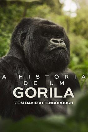 A História de Um Gorila com David Attenborough